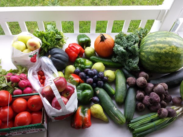 Irma's Farm Stand Haul