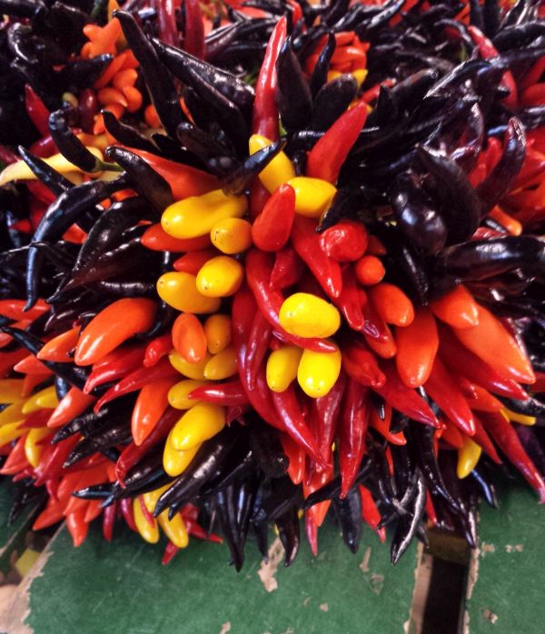 Cherry Bomb Peppers at Royal Oak Farmer's Market