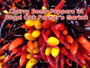Cherry Bomb Peppers at Royal Oak Farmer's Market