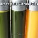 Carrot Kale Citrus Juices