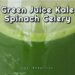 Green Juice Kale Spinach Celery