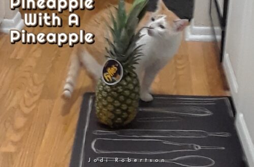 Pineapple WIth a Pineapple