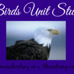 Birds Study - Homeschooling on a Shoestring