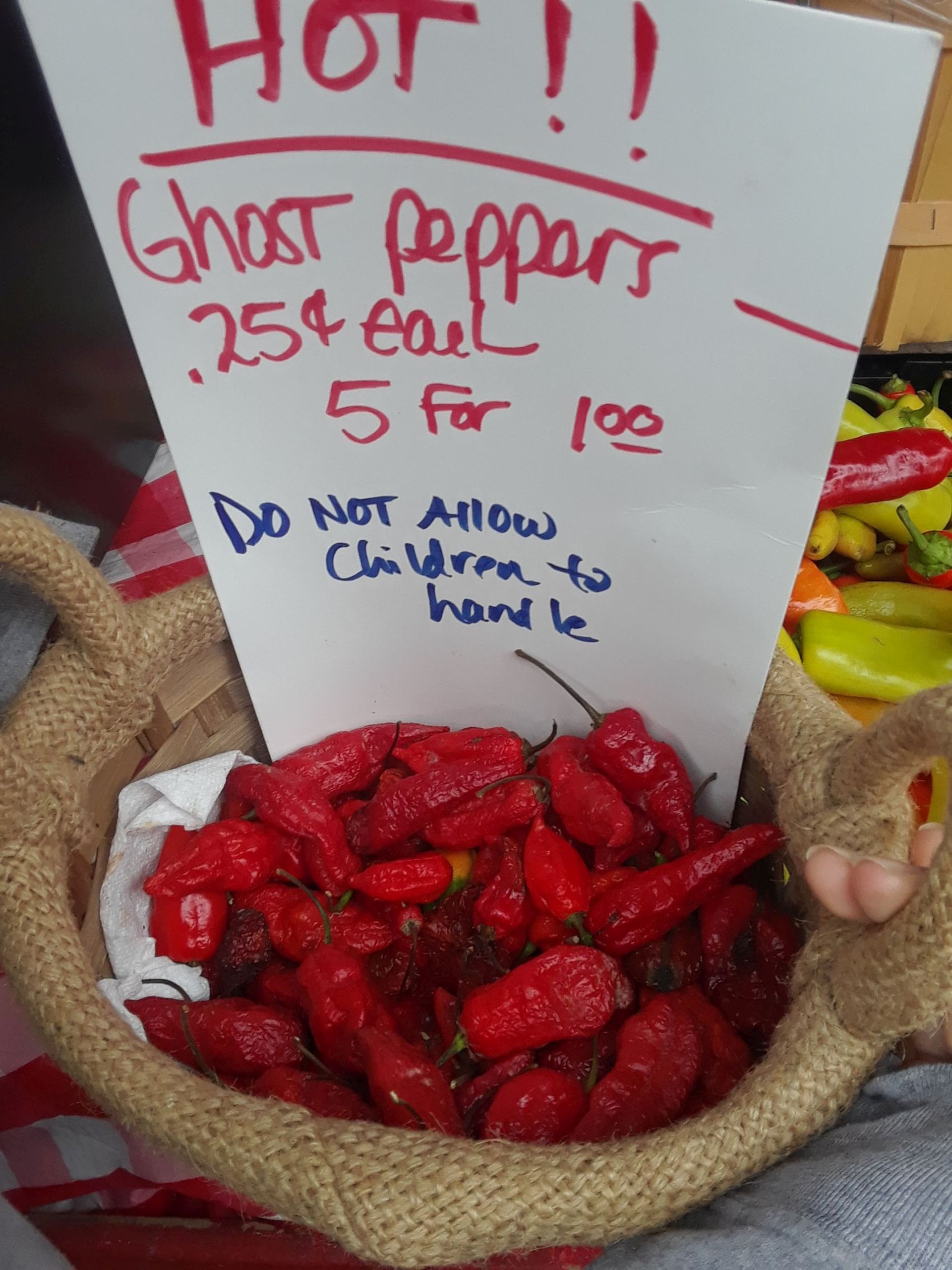 Ghost Pepper Display at Irma's Farm Stand