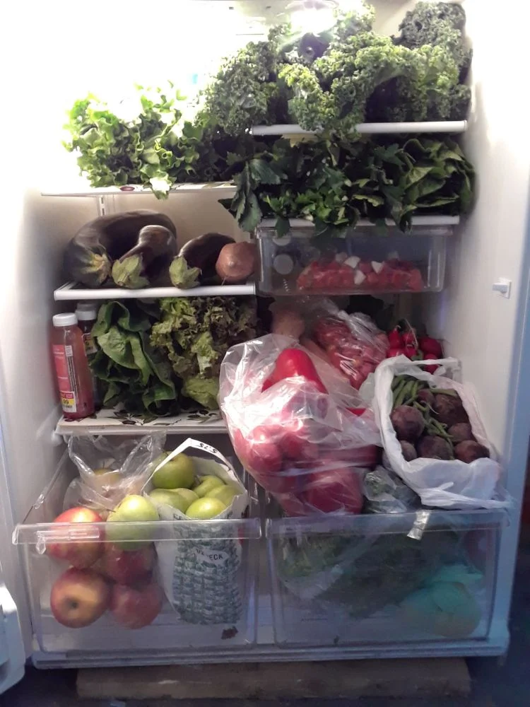 Refrigerator October 13, 2018