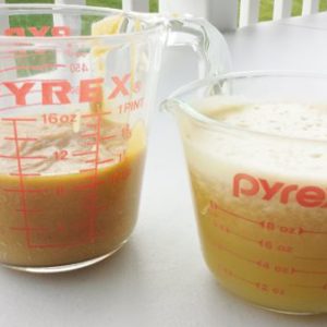 Juiced Apples vs Vitamix Apples | Red Garage Door