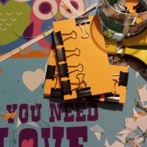 Birds Eye View Owl You Need is Love | Red Garage Door