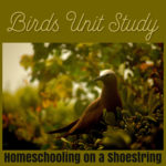 Birds Unit Study Homeschooling on a Shoestring
