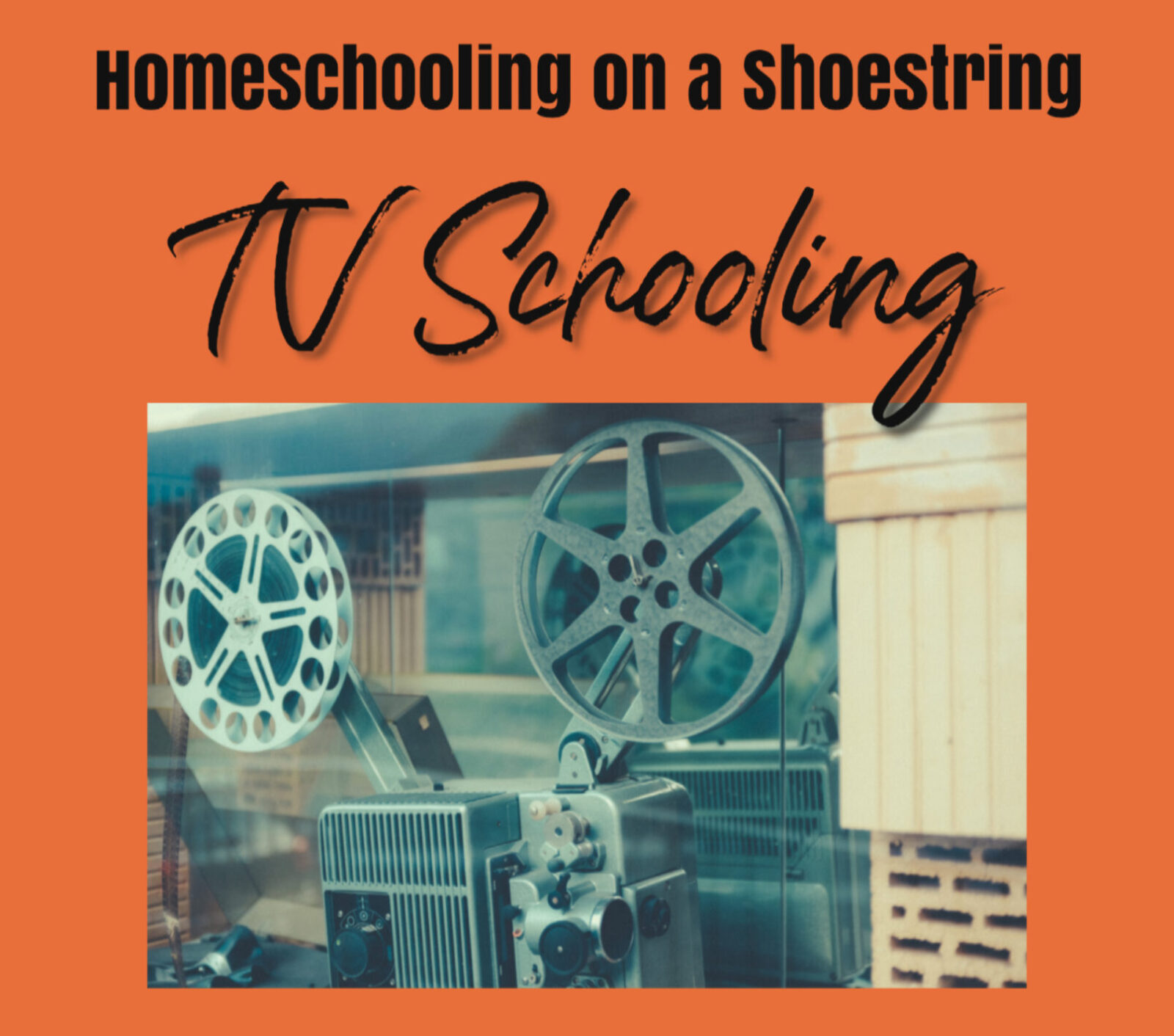 TV Schooling - Homeschooling on a Shoestring