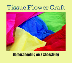 Tissue Flower Craft Homeschooling on a Shoestring