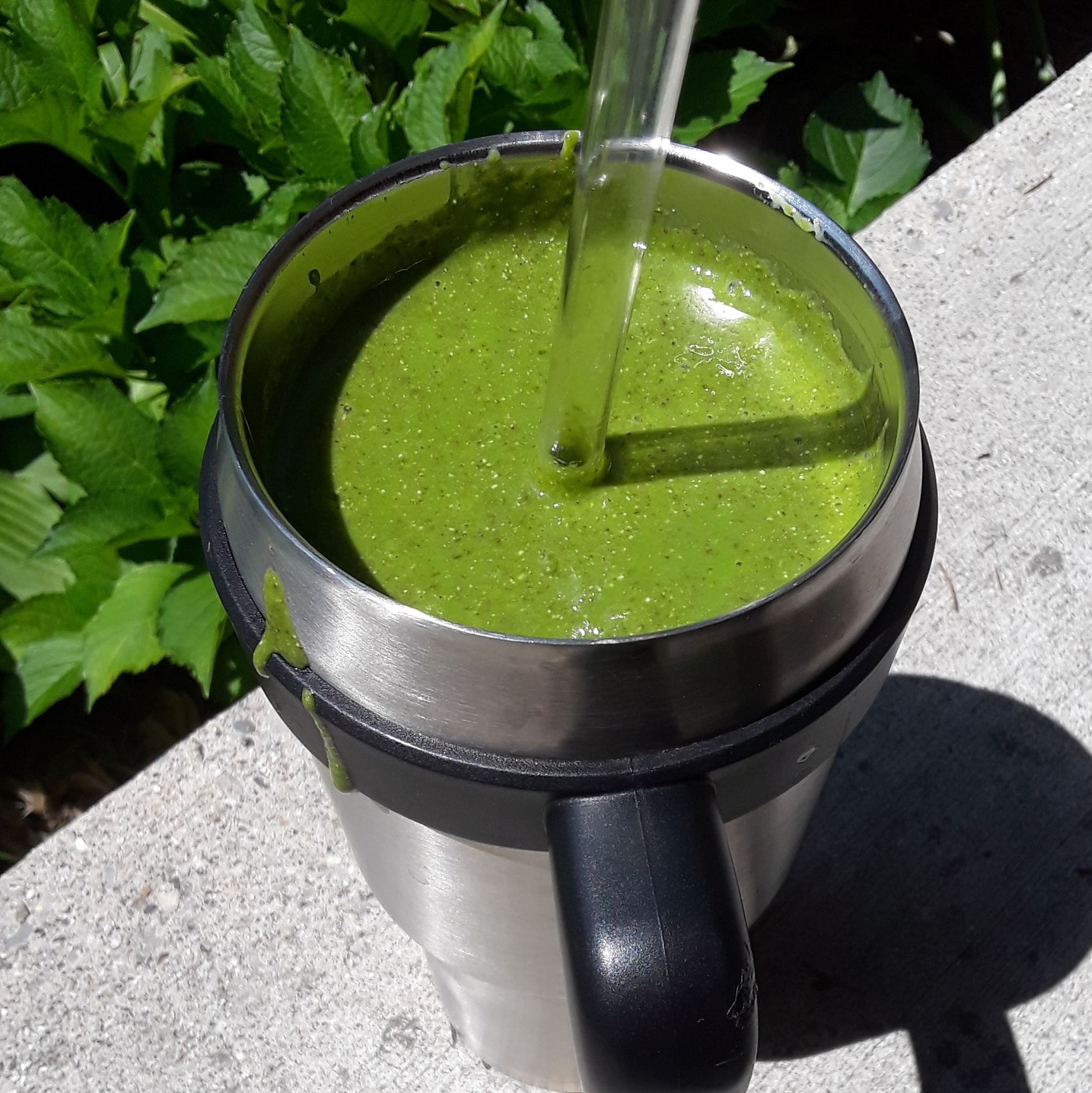 Green Zucchini Fruit Smoothie