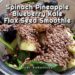 Spinach Pineapple Blueberry Kale Flax Seed before the blend