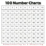 100 Number Charts Jodi Robertson