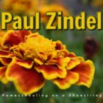 Author Paul Zindel Marigold Photo by T J on Unsplash