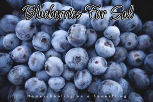 Blueberries For Sal Photo Jodi Robertson Red Garage Door