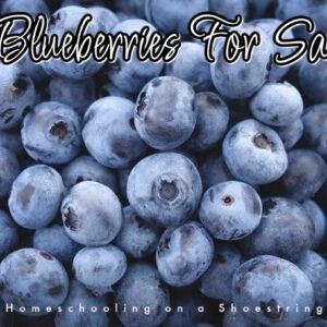 Blueberries For Sal Photo Jodi Robertson Red Garage Door