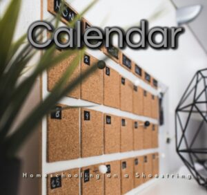 Calendar Photo by Monica Sauro on Unsplash