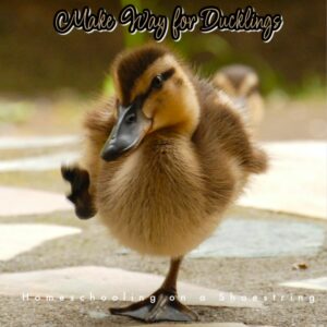 Make Way For Ducklings Photo by Kerin Gedge on Unsplash