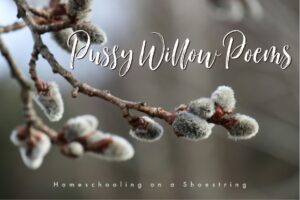 Pussy Willow Poems Photo by Rafał Rudol on Unsplash