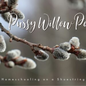 Pussy Willow Poems Photo by Rafał Rudol on Unsplash