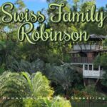 Swiss Family Robinson Treehouse Photo by Nico Smit on Unsplash