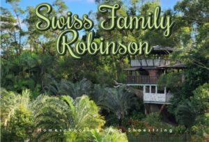 Swiss Family Robinson Treehouse Photo by Nico Smit on Unsplash