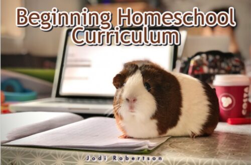 Beginning Homeschool Curriculum