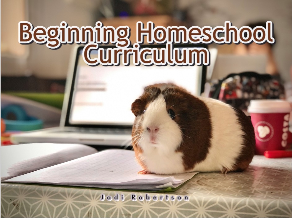 Beginning Homeschool Curriculum