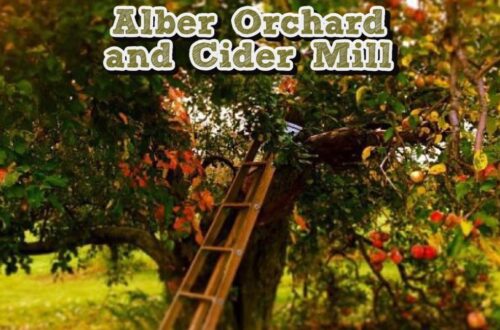 Alber Orchard and Cider Mill