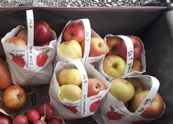 Irma's Farm Stand Apples