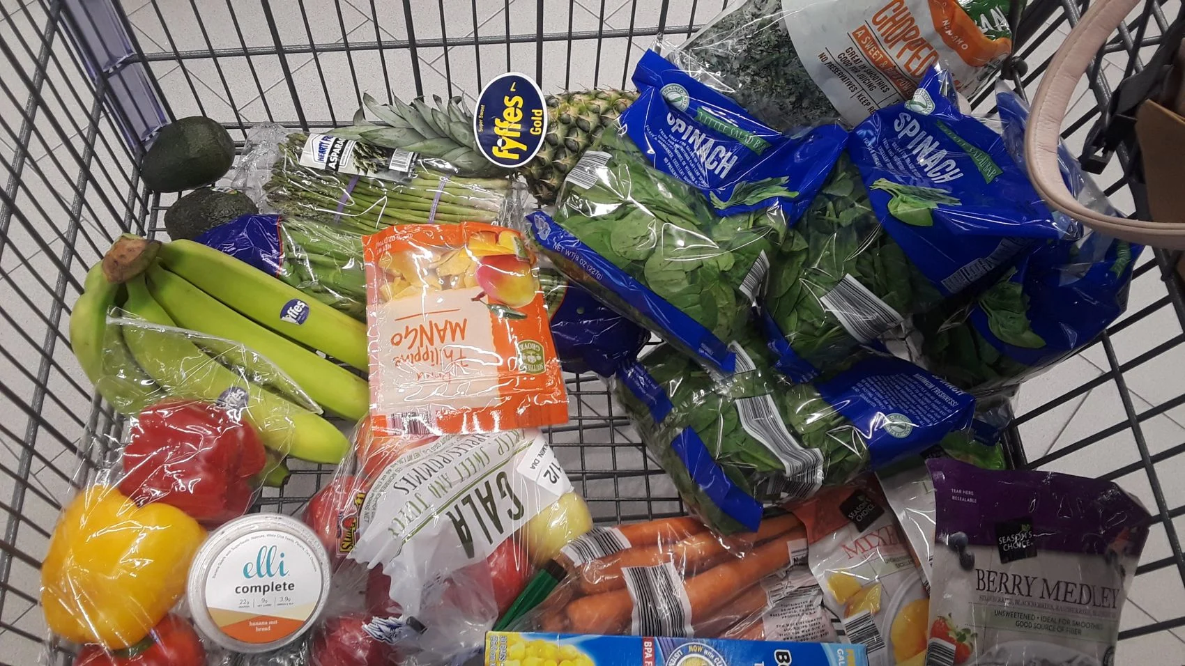 Aldi Grocery Haul | Jodi Robertson