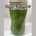 Apple Cucumber Green Juice
