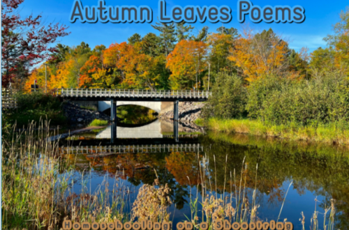 Autumn Leaves Poems