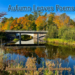 Autumn Leaves Poems