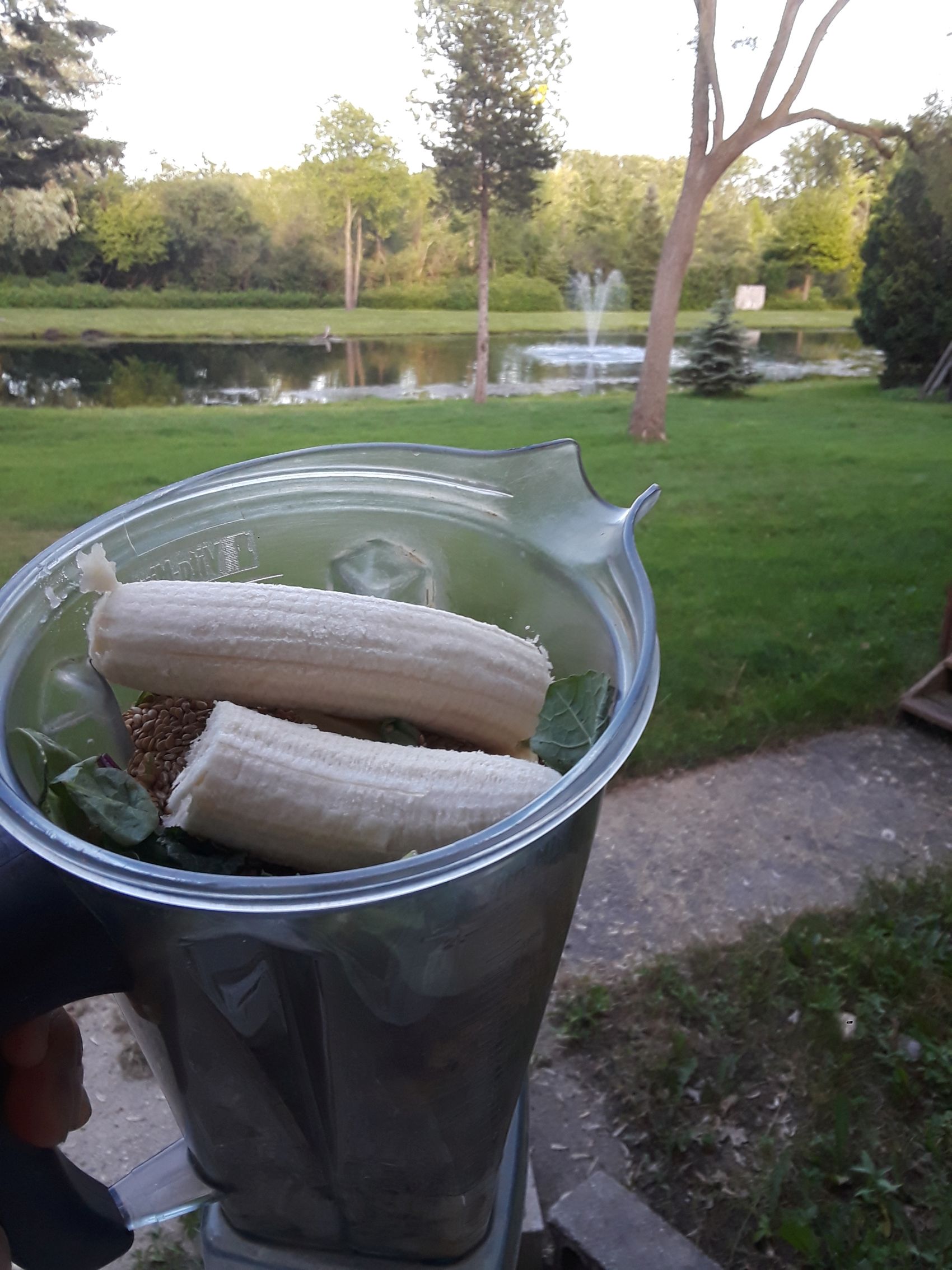 Green Smoothie Banana Pineapple Ginger Almond Milk