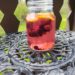 Berry Lemon Ginger Infused Water
