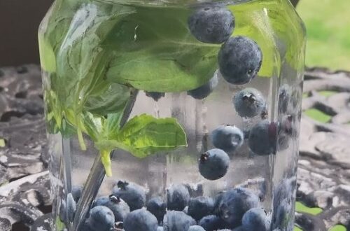 Blueberry Basil Infused Water Jodi Robertson