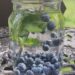 Blueberry Basil Infused Water Jodi Robertson