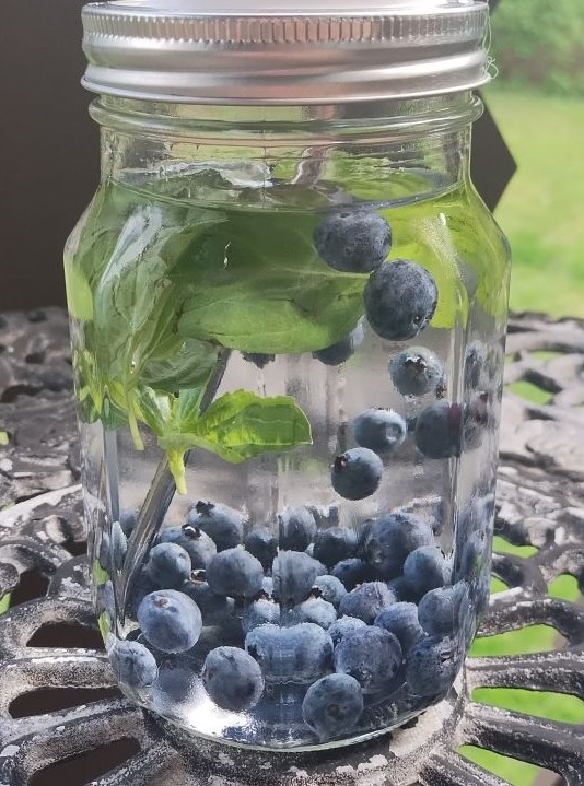 Blueberry Basil Infused Water Jodi Robertson