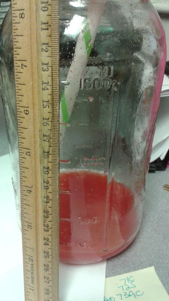 1/2 Costco Watermelon Juice