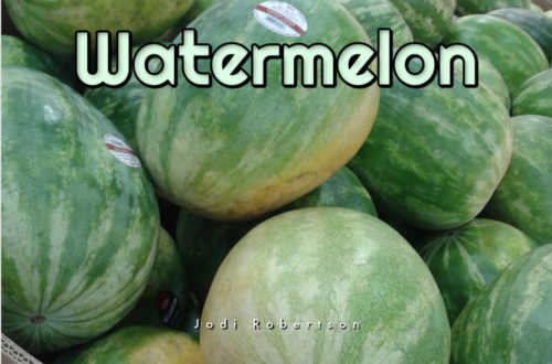Costco Watermelon
