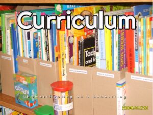 Curriculum