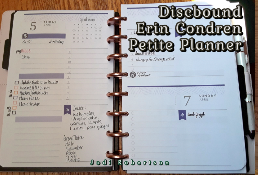 Discbound Erin Condren Petite Planner