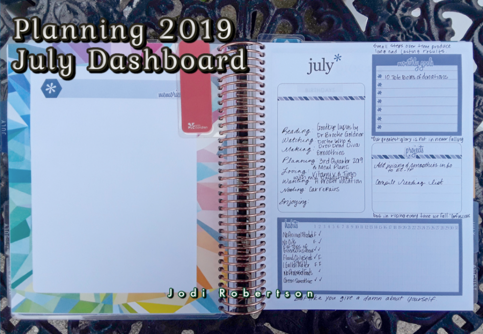 Erin Condren Life Planner Dashboard July 2019