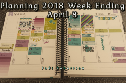 Erin Condren Planning 2017 Week Ending September 10