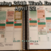 Planning 2018 Week Ending April 22