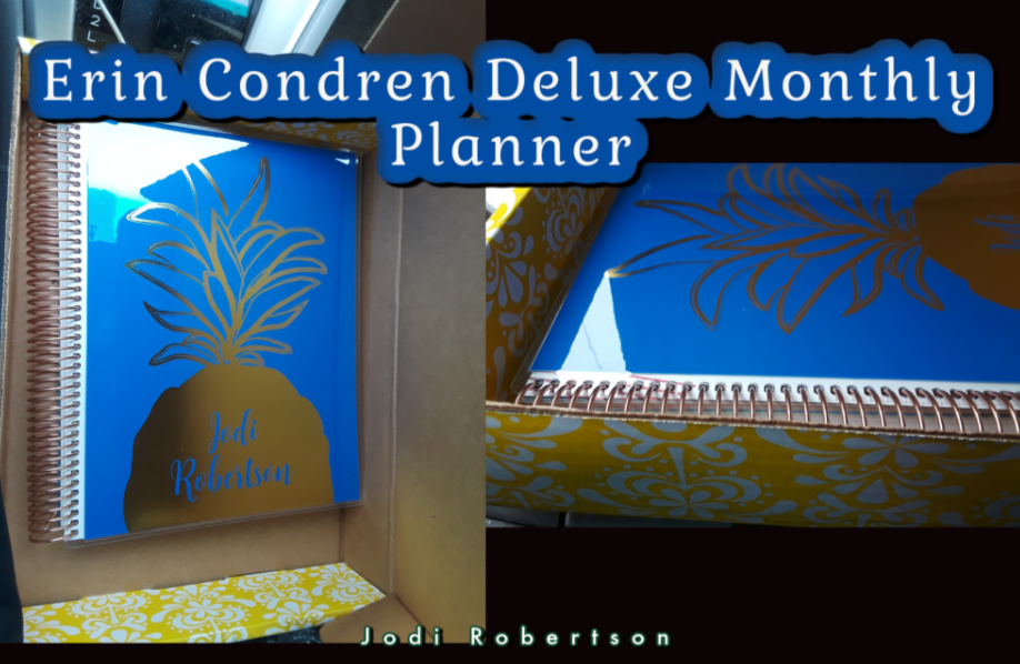 Erin Condren Deluxe Monthly Planner