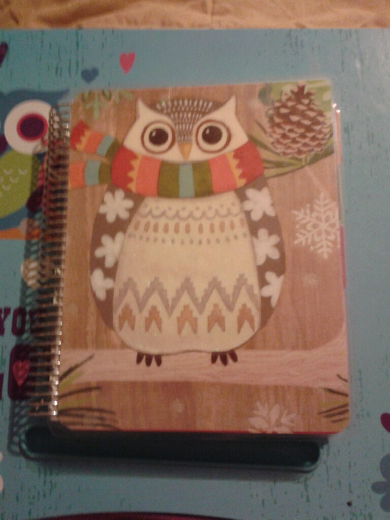Erin Condren Homemade Planner Cover Owl