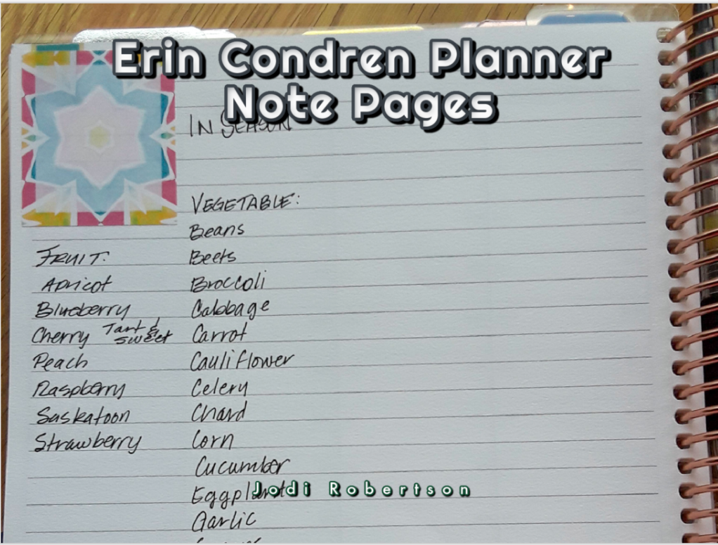 Erin Condren Planner Note Pages