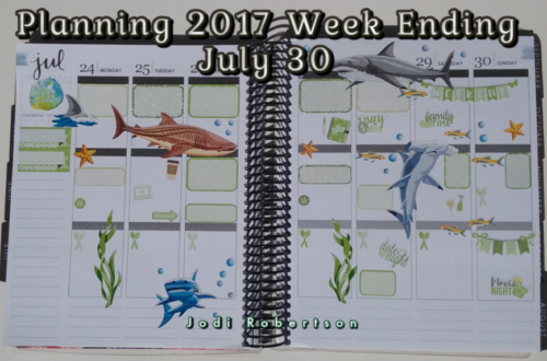 Planning 2017 Week Ending July 30